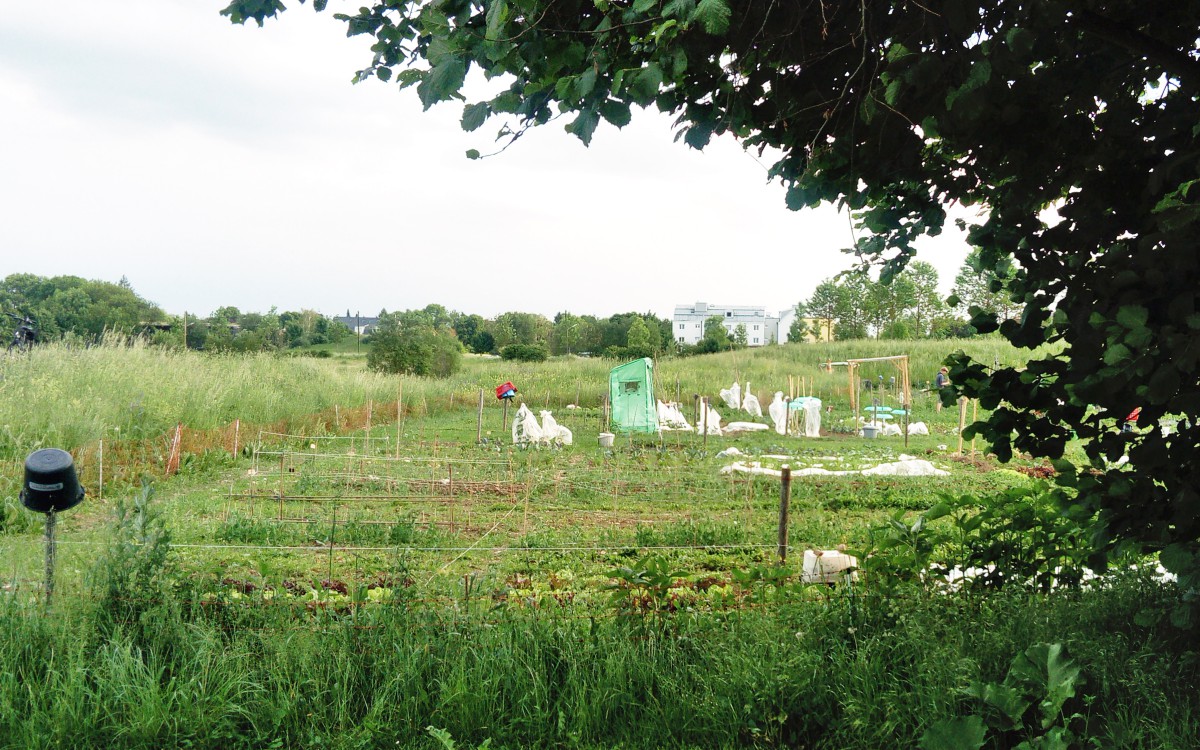 Rettet die Berg am Laimer Krautgärten Unser Berg am Laim
